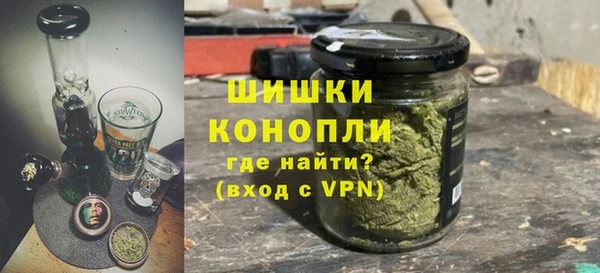 стафф Бородино